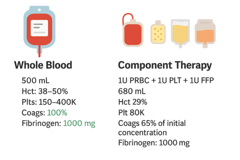 Whole Blood vs Component Therapy