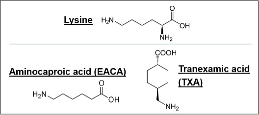 Lysine 